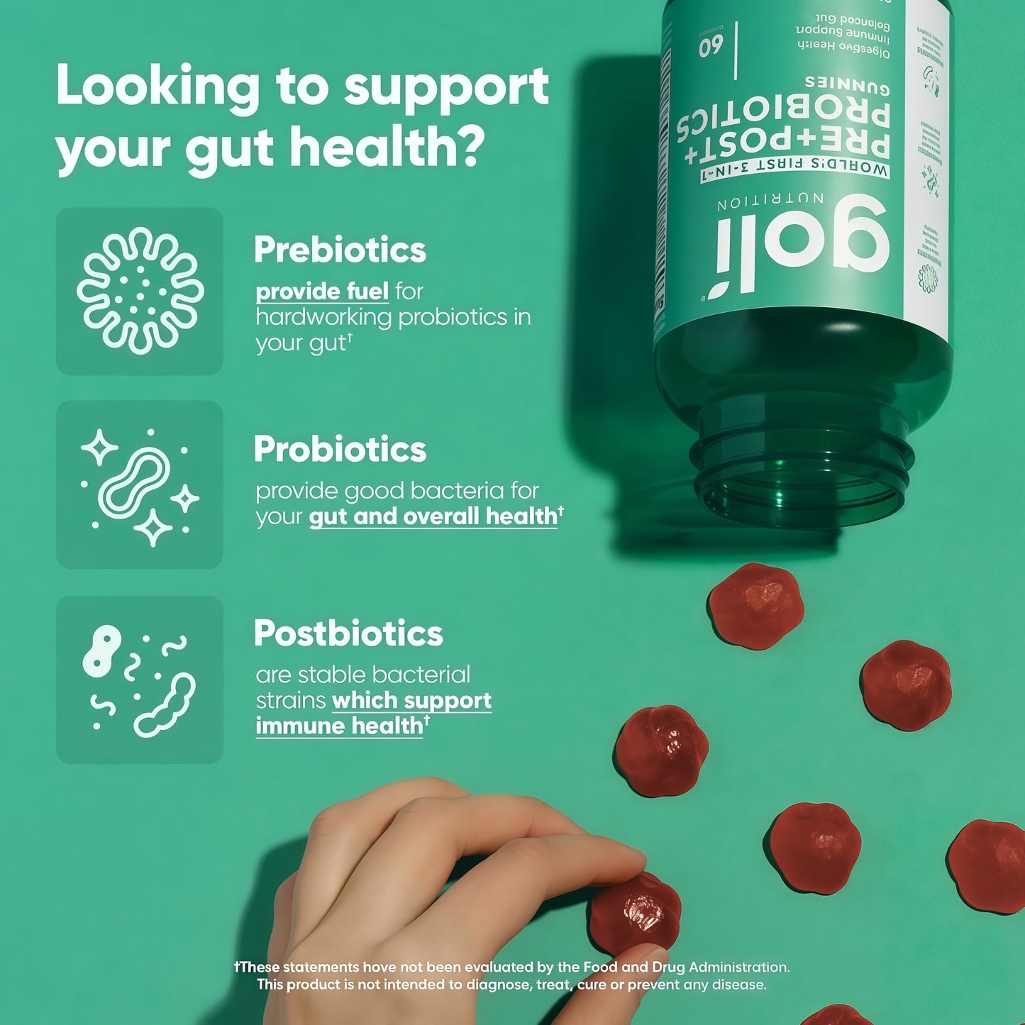 Probiotic+ Gummies